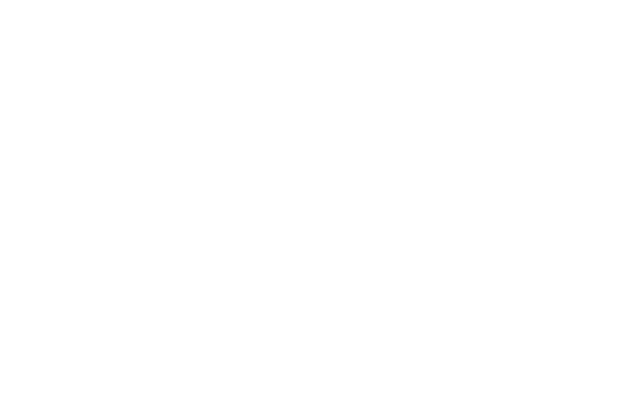 party scene